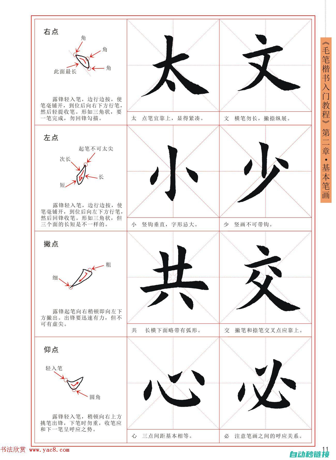 初学者入门指南 (初学者入门指法视频)