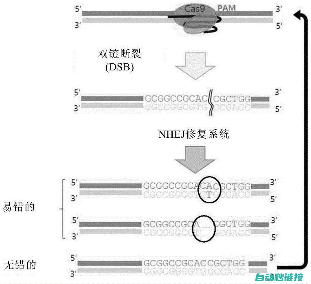 探索子程序嵌套的工作原理与优势 (子程序的嵌套怎么用)