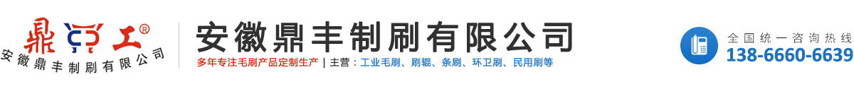 安徽鼎丰制刷有限公司